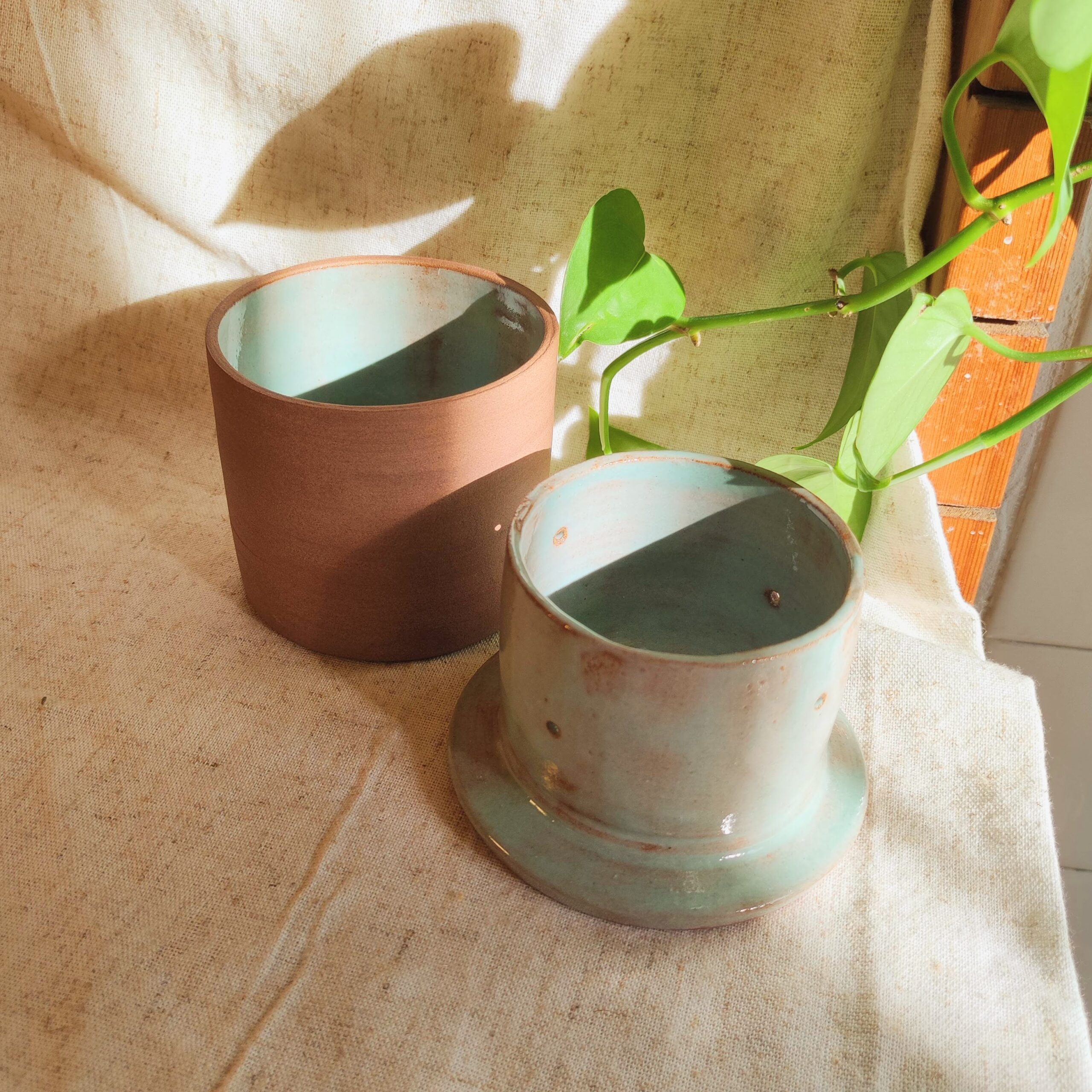 Beurrier à eau - "Blue sky" – Image 2