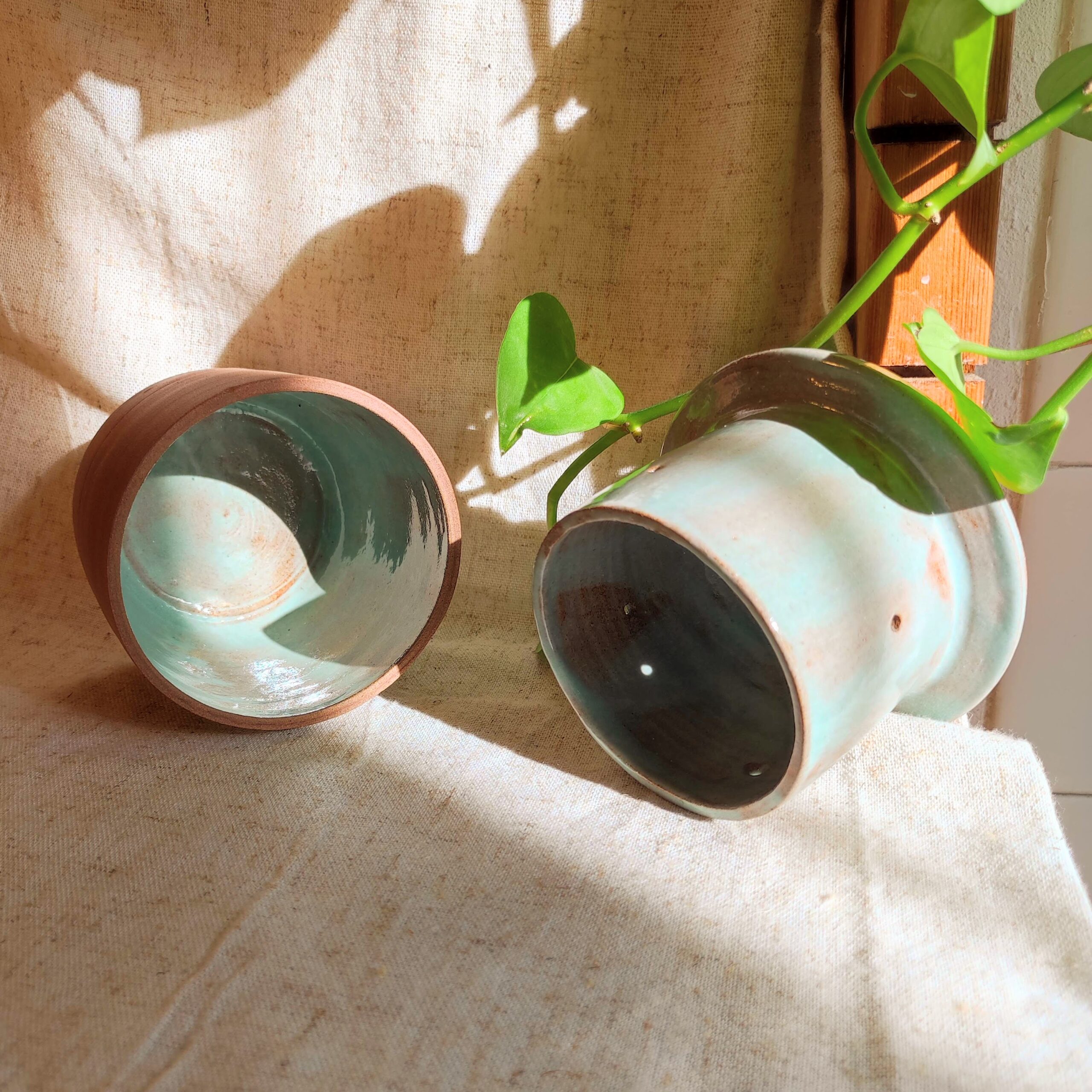 Beurrier à eau - "Blue sky" – Image 4