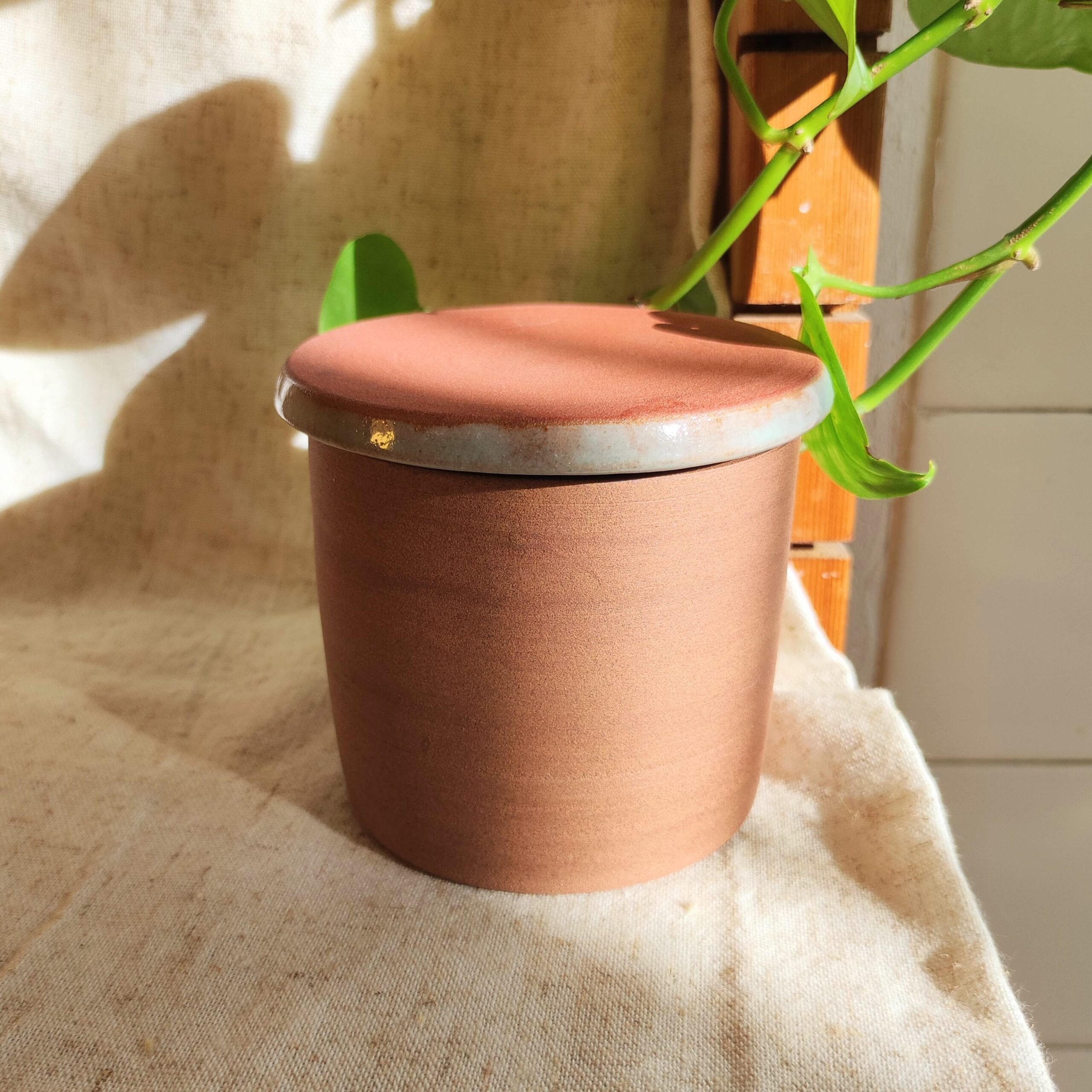 Beurrier à eau - "Blue sky" – Image 5